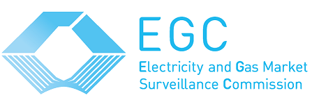 Electricity and Gas Market Surveillance Commission