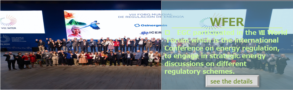 EGC Chairman Dr. YOKOYAMA attended the WORLD FORUM ON ENERGY REGULATION (WFER). See the details.