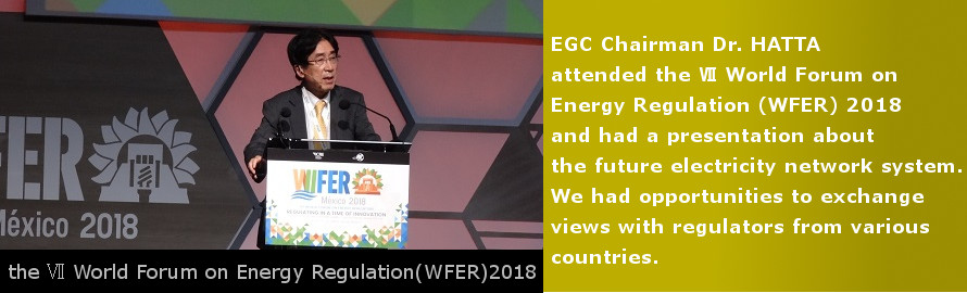 EGC Chairman Dr. HATTA attended the Ⅶ World Forum on Energy Regulation 2018. See the details.