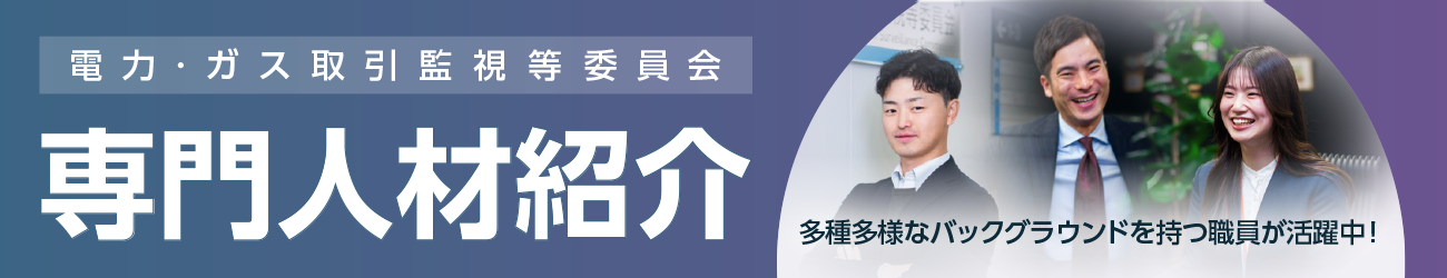 専門人材紹介
