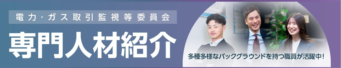 電力・ガス取引監視等委員会　専門人材紹介　多種多様バックグラウンドを持つ職員が活躍中！
